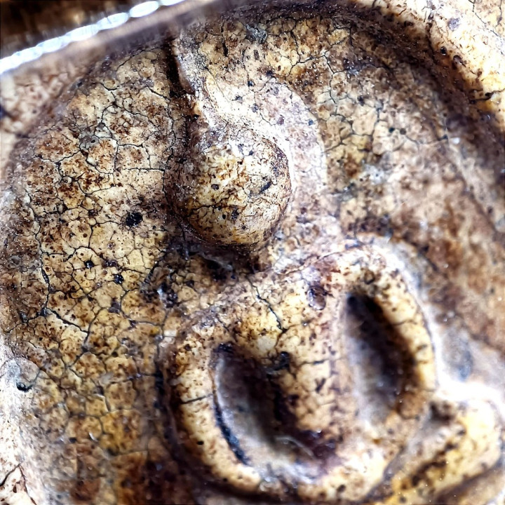 Phra Somdej Buddha Amulet Wat Rakhang