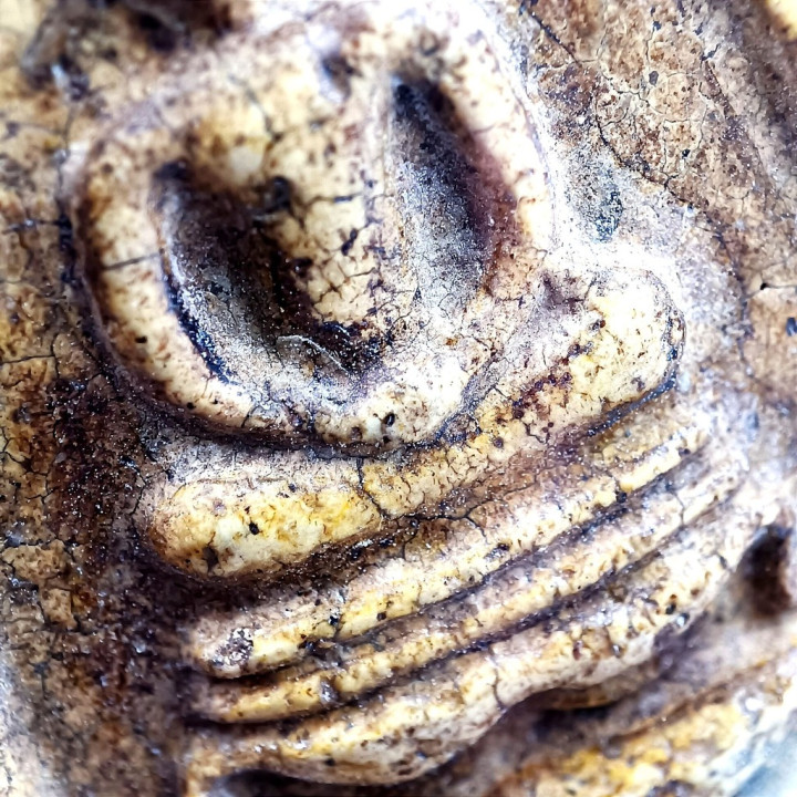 Phra Somdej Buddha Amulet Wat Rakhang