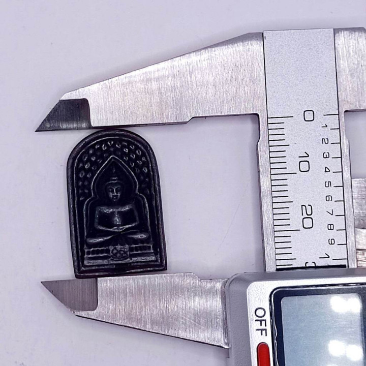 Luang Por Tha Wat Phaniang Taek Buddha Amulet