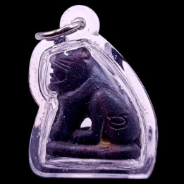 Luang Por Parn Tiger Amulet Bronze Waterproof