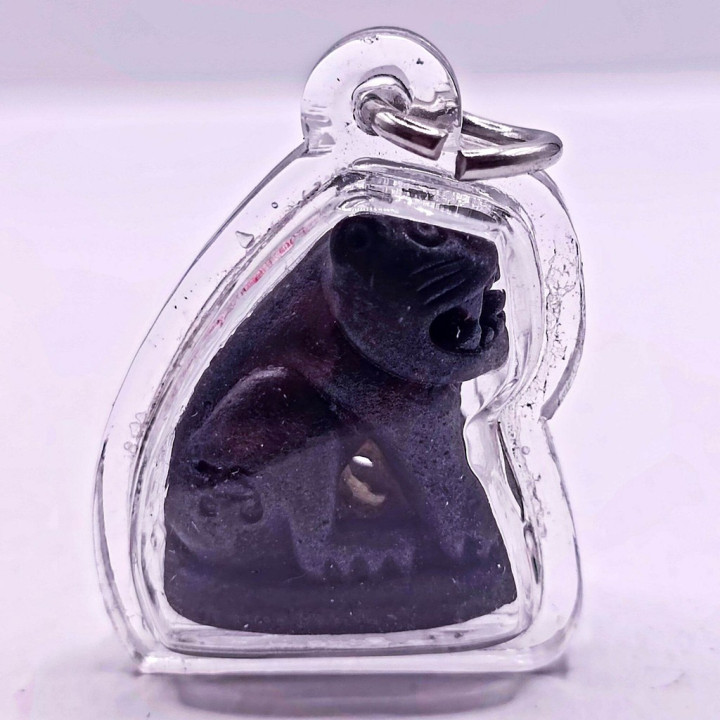 Luang Por Parn Tiger Amulet Bronze Waterproof