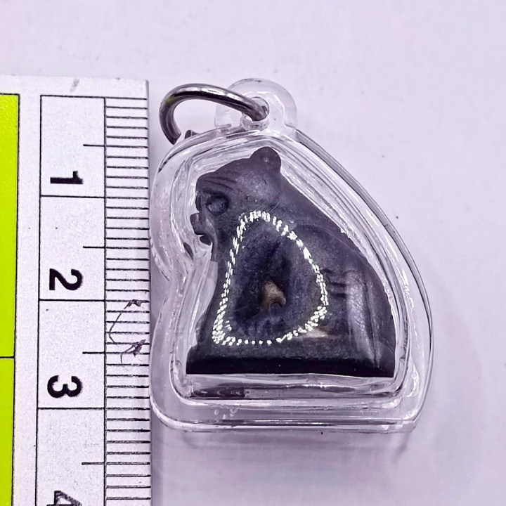 Luang Por Parn Tiger Amulet Bronze Waterproof