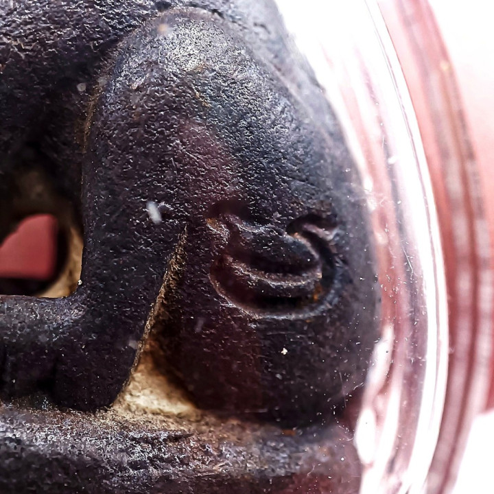 Luang Por Parn Tiger Amulet Bronze Waterproof