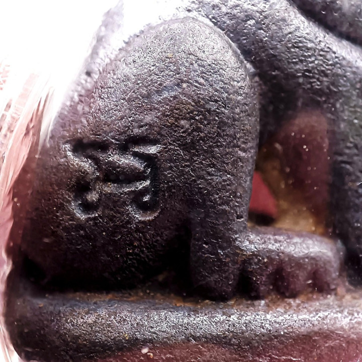 Luang Por Parn Tiger Amulet Bronze Waterproof