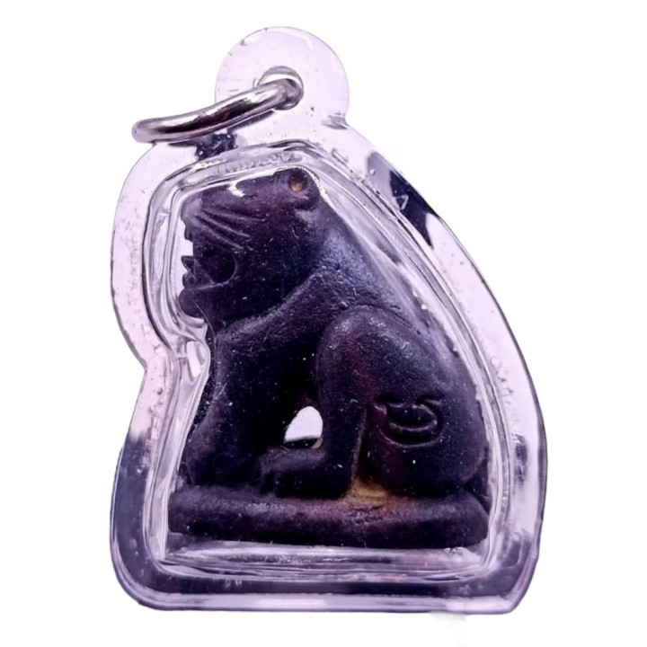 Luang Por Parn Tiger Amulet Bronze Waterproof