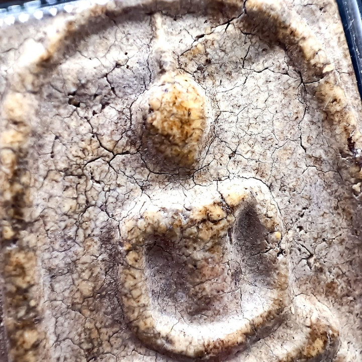 Phra Somdej Buddha Amulet Wat Rakhang