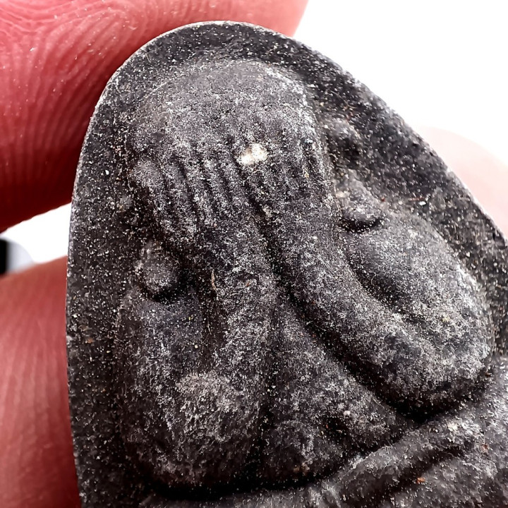Phra Pidta Plod Nee Luang Pu Toh Amulet