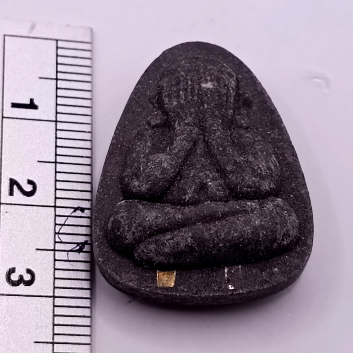 Phra Pidta Plod Nee Luang Pu Toh Amulet