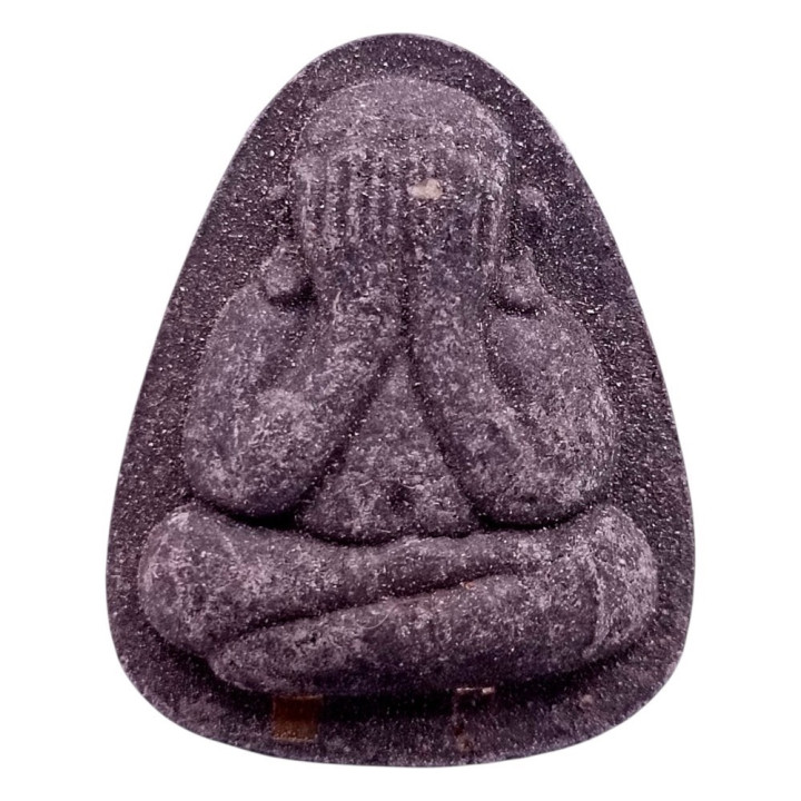 Phra Pidta Plod Nee Luang Pu Toh Amulet