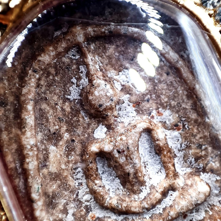 Phra Somdej Phim Yai Buddha Amulet Pendant