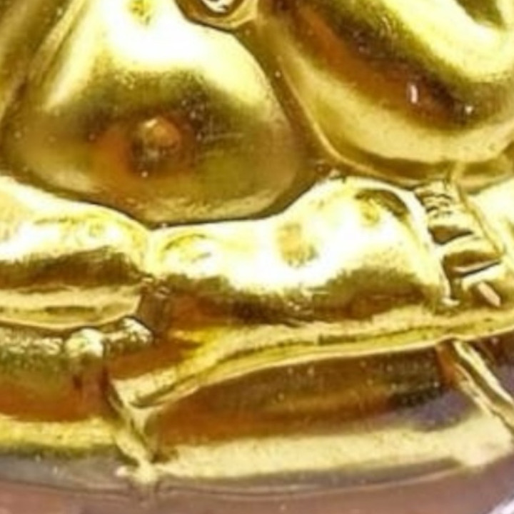 Phra Pidta Luang Por Koon Amulet Gold Plated