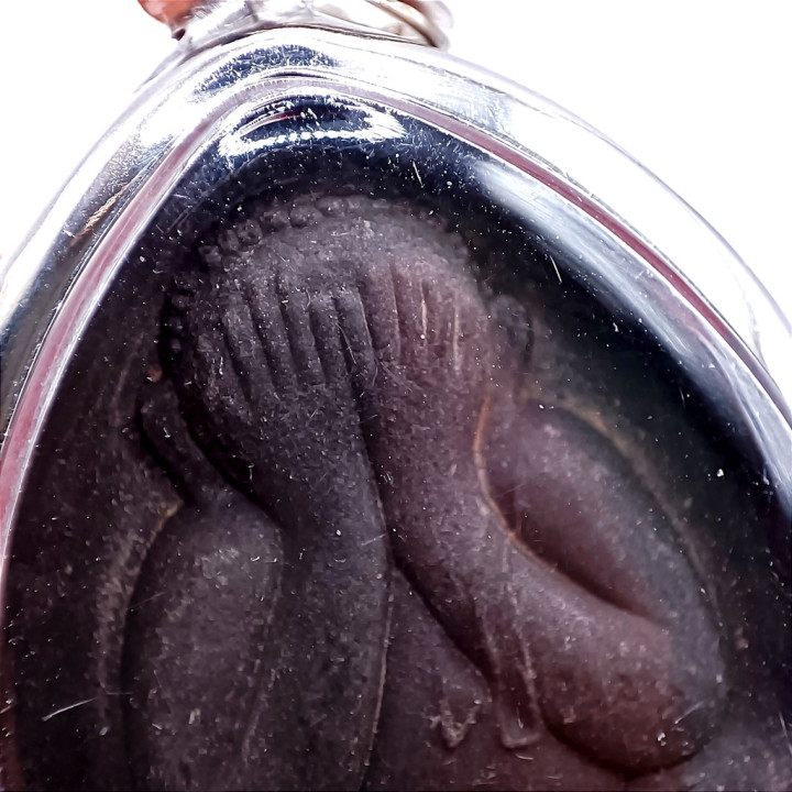 Phra Pidta Luang Pu Toh Jumbo 2 Amulet