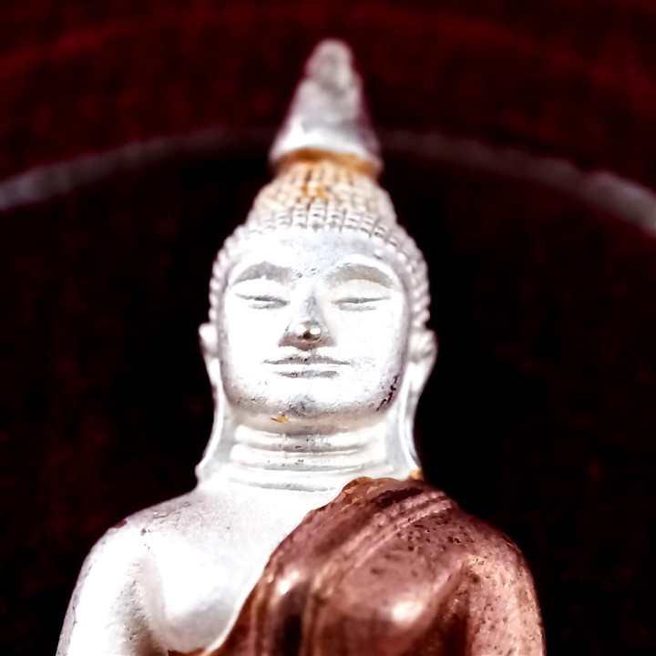 Luang Por Sothorn Buddha Amulet 3K Tri-Color Metal