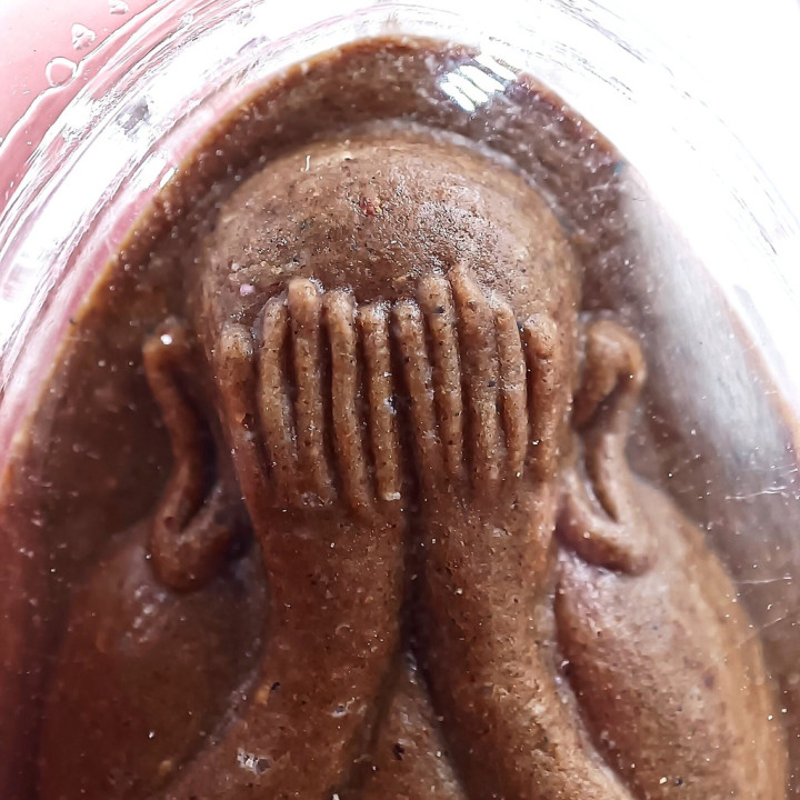 Pidta Amulet Luang Pu Toh Wat Pradoochimplee