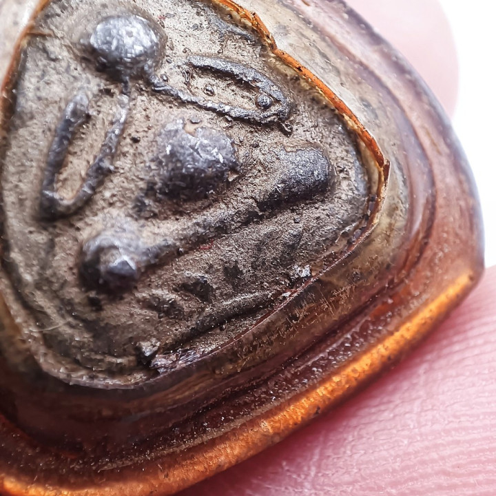 Pidta Luang Pu Suk Amulet Wat Pak Khlong Makham Thao