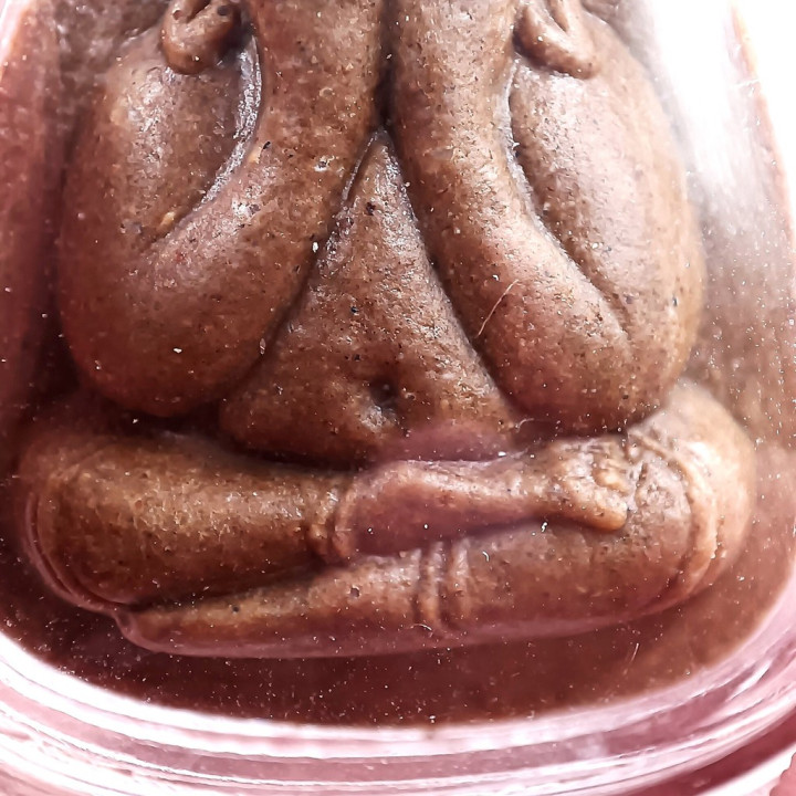 Pidta Amulet Luang Pu Toh Wat Pradoochimplee