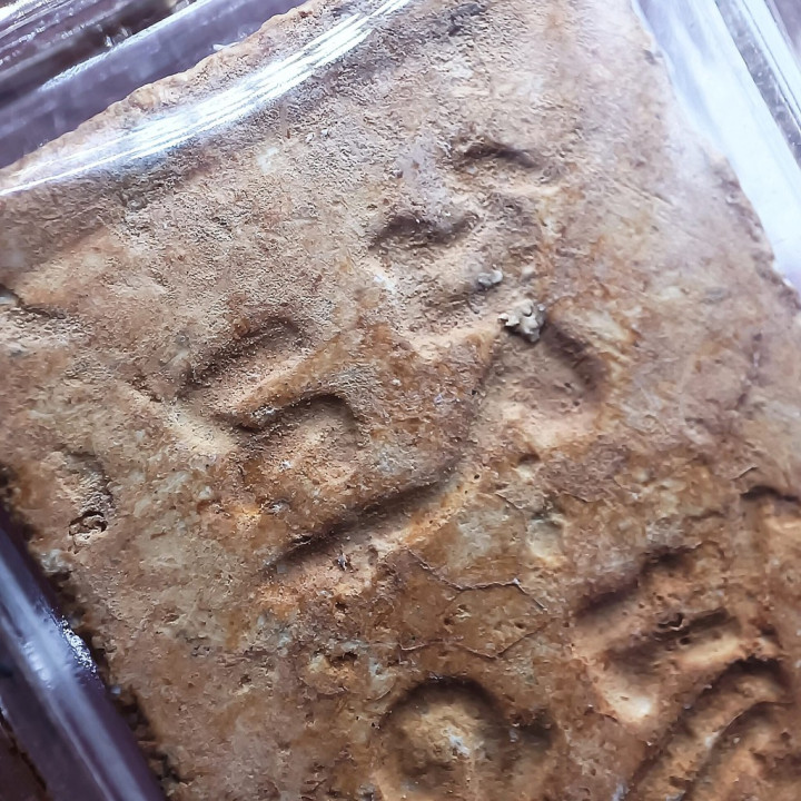 Phra Somdej Luang Por Sod Wat Paknam Buddha Amulet