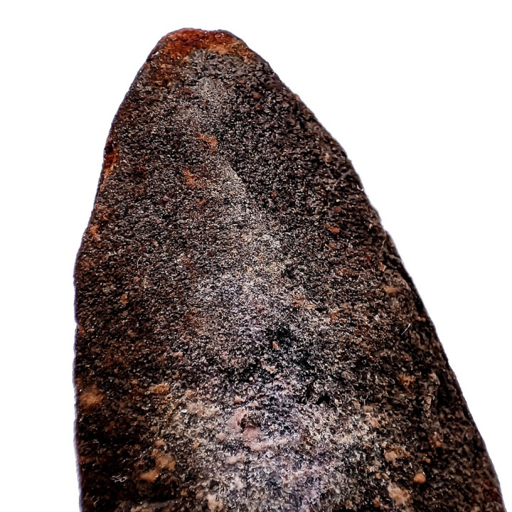 Luang Pu Thuat Wat Chang Hai Clay Amulet