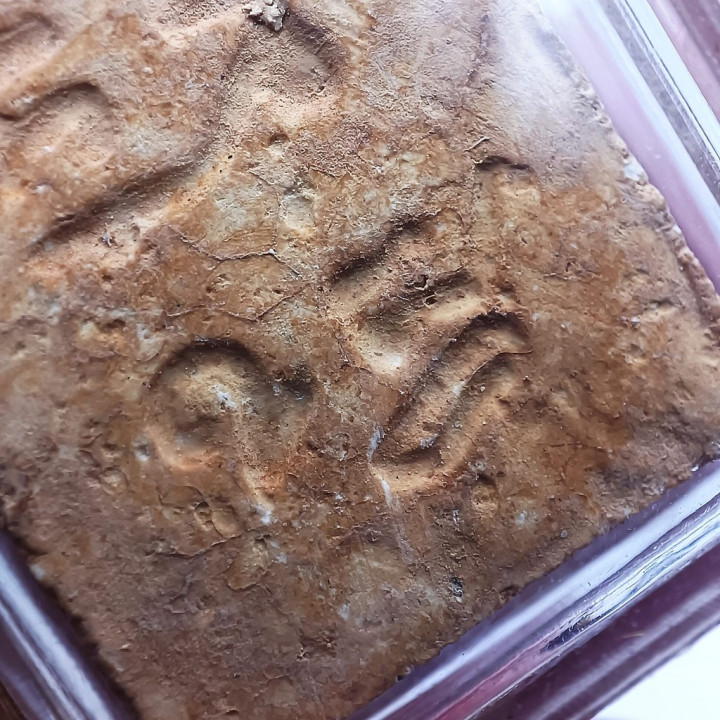 Phra Somdej Luang Por Sod Wat Paknam Buddha Amulet