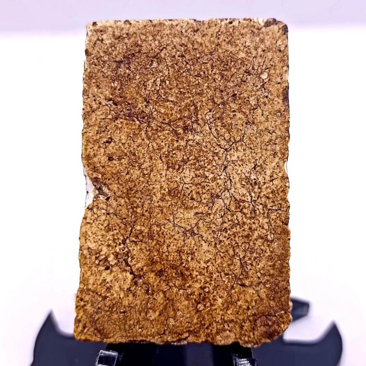 Phra Somdej Wat Rakang Pim Yai Buddha Amulet