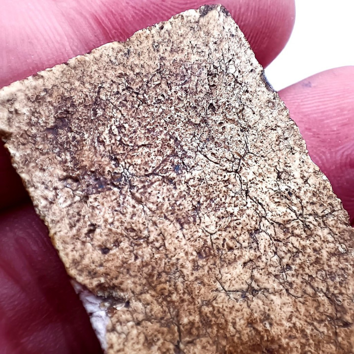 Phra Somdej Wat Rakang Pim Yai Buddha Amulet