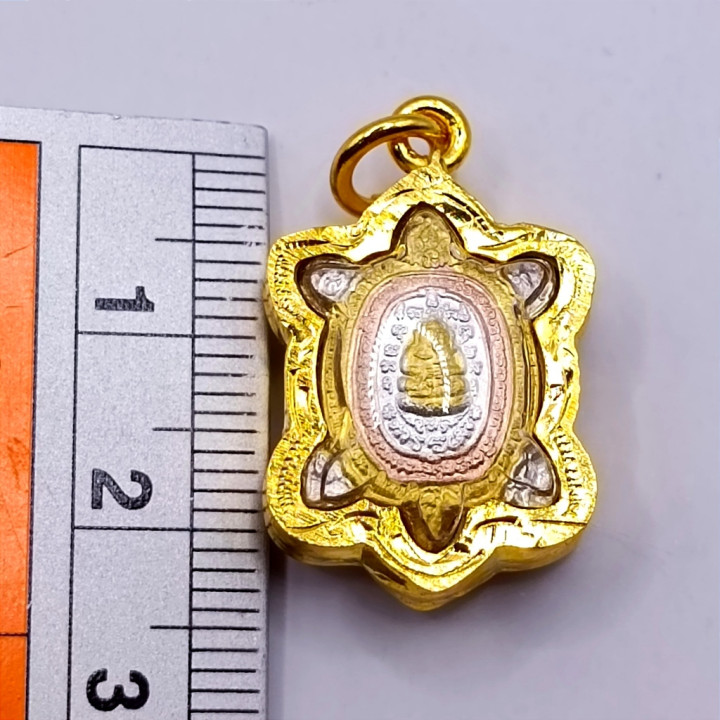Phaya Tao Ruean Luang Pu Liew Amulet 2562 BE