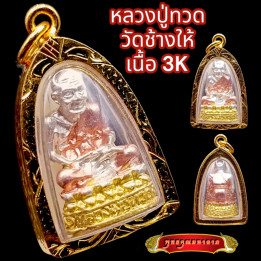 Luang Pu Thuat Wat Chang Hai Gold Plated Pendant