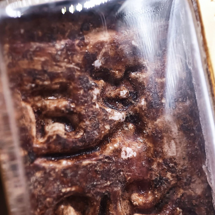 Somdej Luang Por Sod Wat Paknam Amulet
