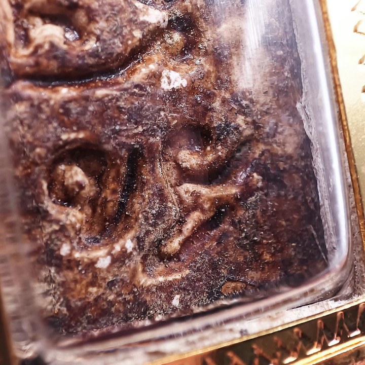 Somdej Luang Por Sod Wat Paknam Amulet