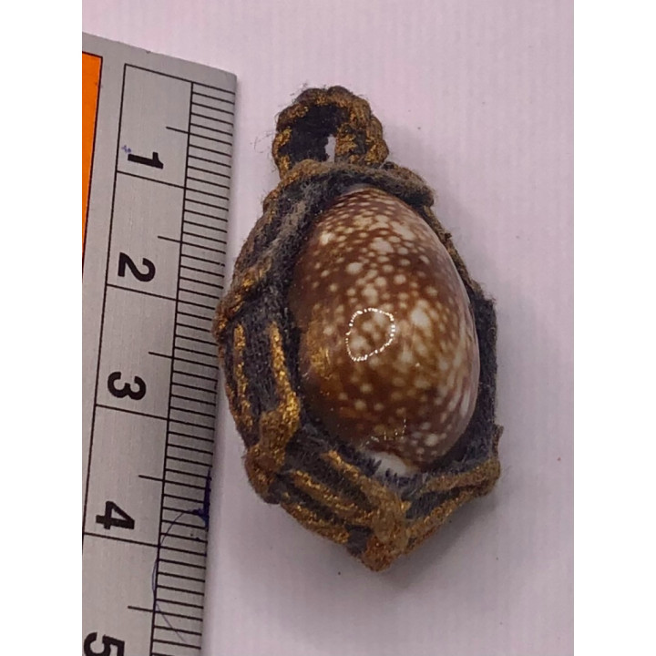Thai Bia Gae Amulet Gold Takrut Luang Por Pern