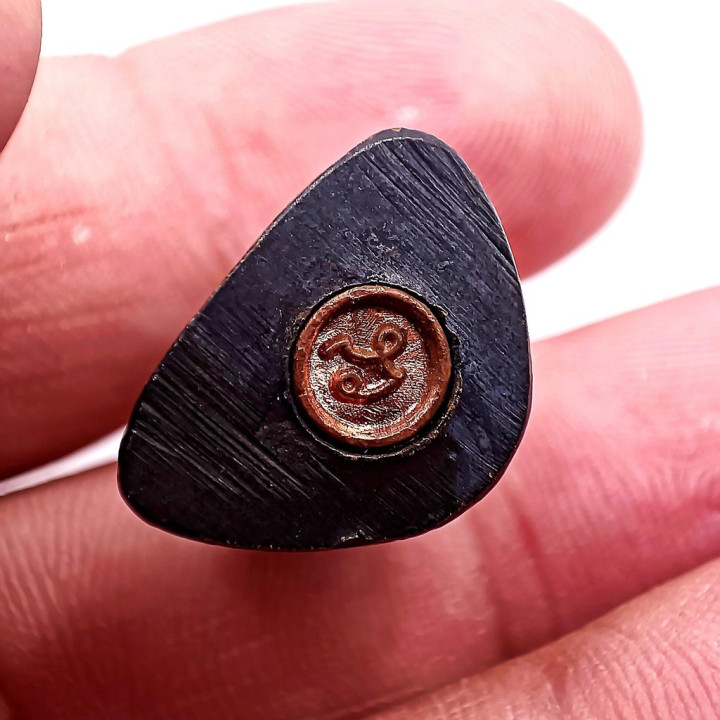 Luang Por Pae Copper Amulet with Gold Frame