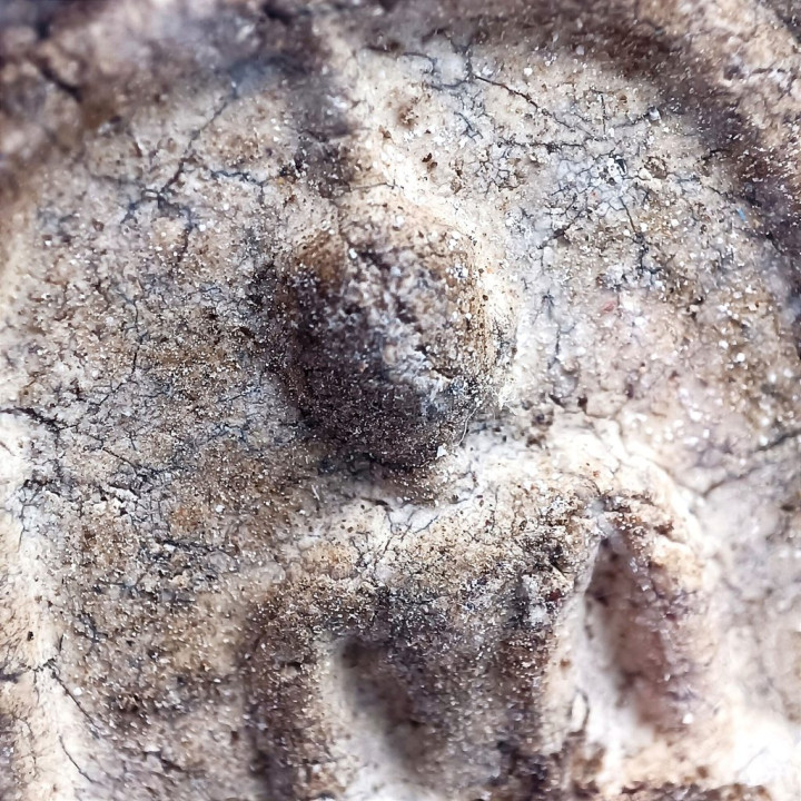 Phra Somdej Buddha Amulet Wat Rakang