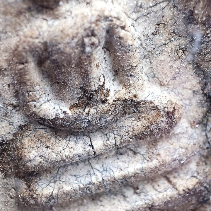 Phra Somdej Buddha Amulet Wat Rakang