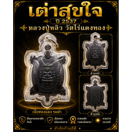 Luang Pu Liew Suk Jai Turtle Amulet Copper