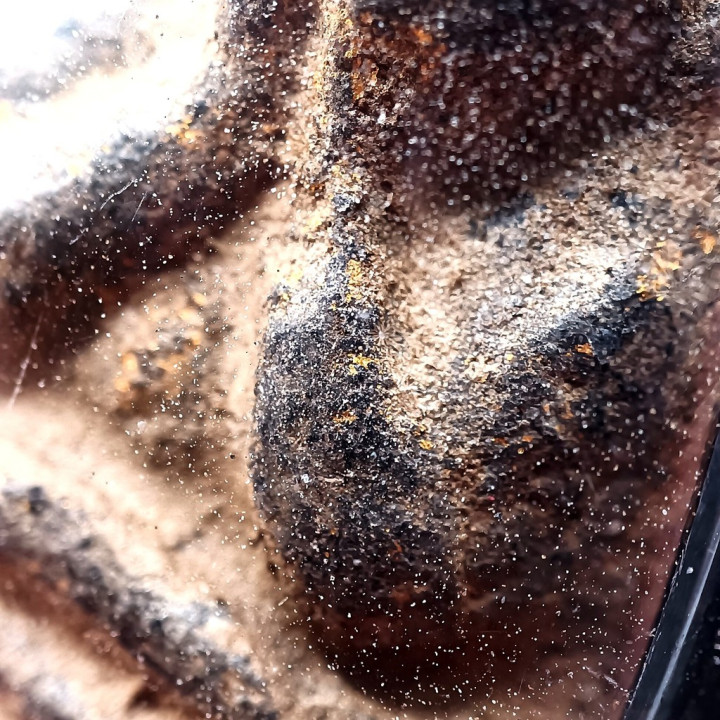 Pidta Luang Por Kaeo Amulet Wat Khrua Wan